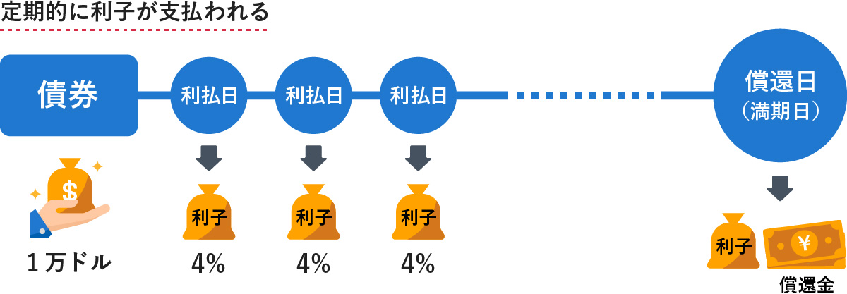 定期的に利子が支払われる仕組みを示した図。1万ドルの債券を購入した場合を例に、定期的な利払日ごとに4%の利子を受け取り、最終的な償還日（満期日）に最後の利子とともに償還金を受け取るまでの流れを表している。